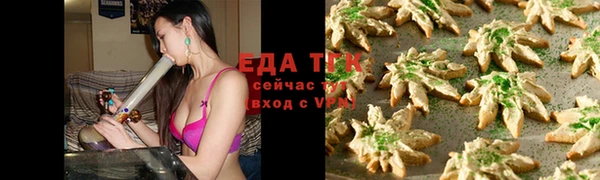 крисы Ельня