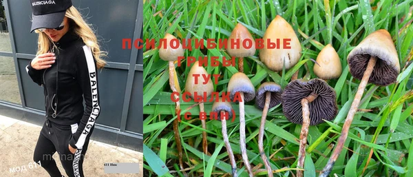 PSILOCYBIN Алзамай