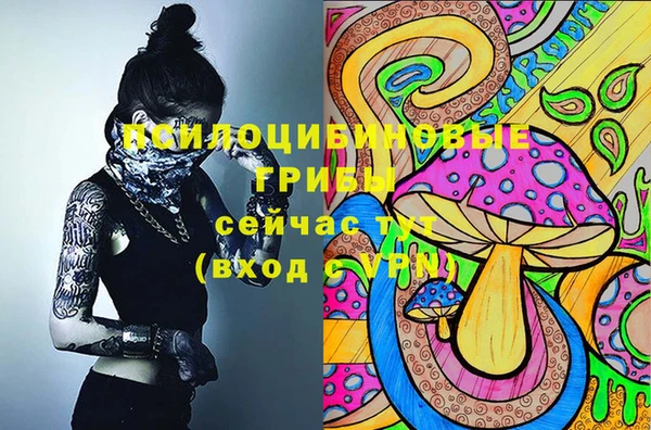 твердый Абдулино